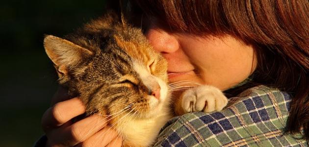 التخلص من شعر القطط على الملابس التخلص من شعر القطط على الملابس