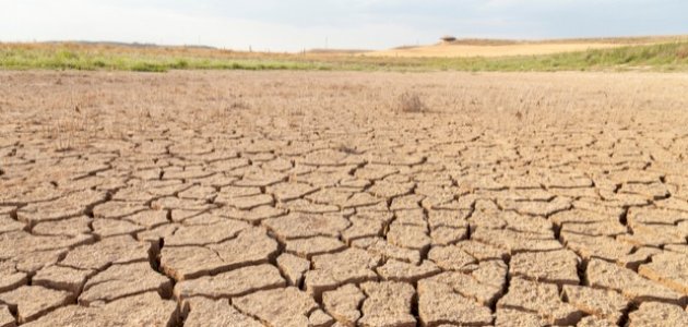 التصحر في العراق التصحر في العراق