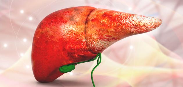 التضخم في الكبد التضخم في الكبد