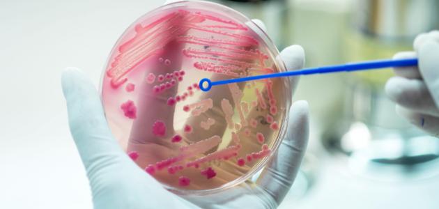 التهاب بالدم عند الأطفال التهاب بالدم عند الأطفال