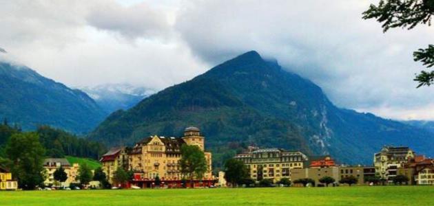 الجنة ونعيمها الجنة ونعيمها