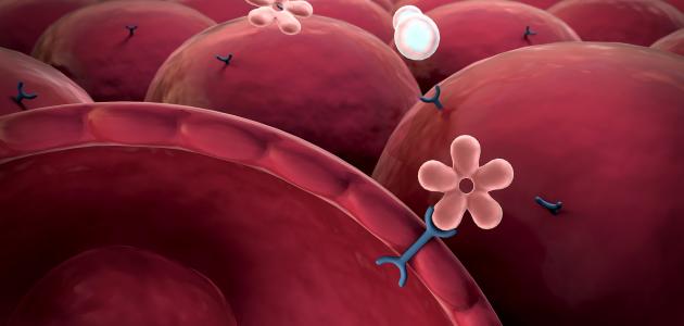 الخلايا الجذعية والسكري الخلايا الجذعية والسكري