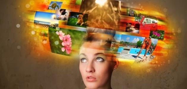 الذاكرة في علم النفس الذاكرة في علم النفس