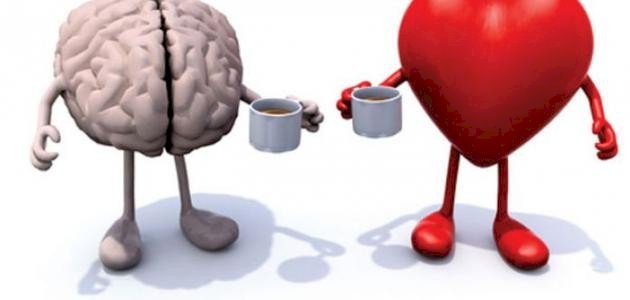 الذكاء العاطفي الذكاء العاطفي