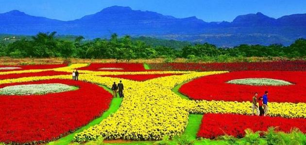 السياحة في الهند السياحة في الهند