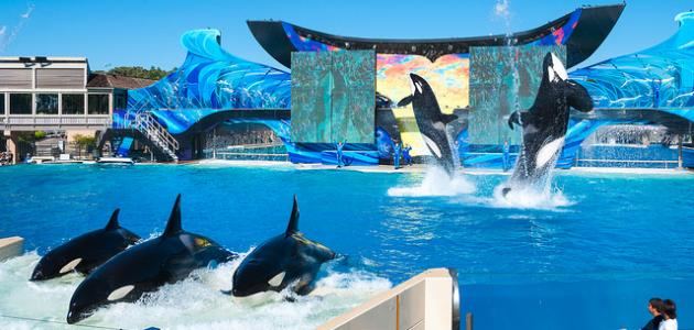 السياحة في كاليفورنيا السياحة في كاليفورنيا