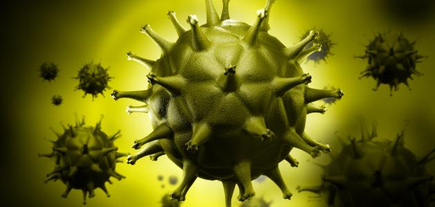 السيلان في الذكور السيلان في الذكور