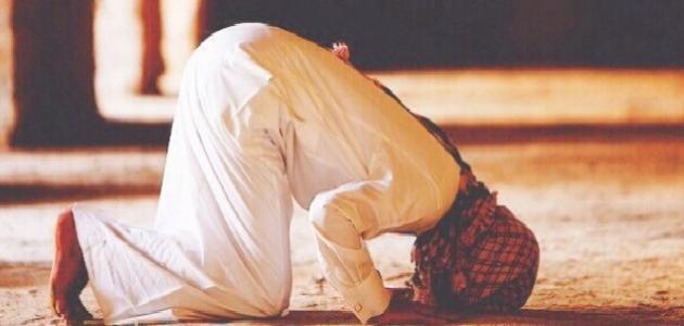 الصلاة من غير وضوء الصلاة من غير وضوء