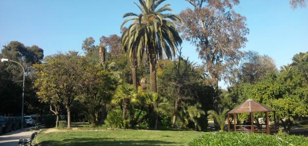 الطبيعة في تونس الطبيعة في تونس