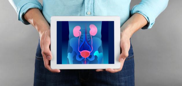 العيوب الخلقية في الجهاز البولي العيوب الخلقية في الجهاز البولي