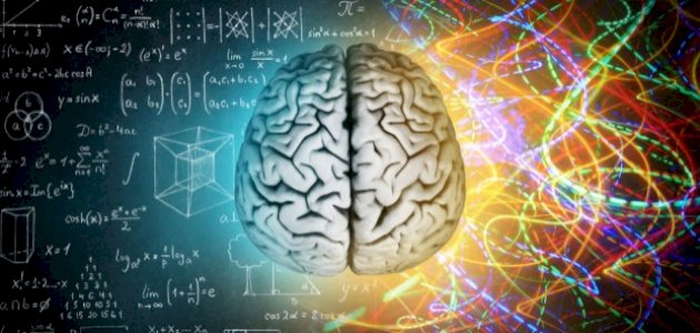 الفرق بين التفكير العاطفي والمنطقي الفرق بين التفكير العاطفي والمنطقي
