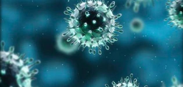 الفرق بين فيروس كورونا والإنفلونزا الفرق بين فيروس كورونا والإنفلونزا