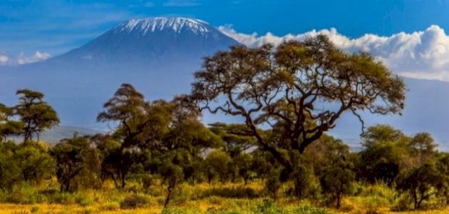 المناطق الحيوية البرية