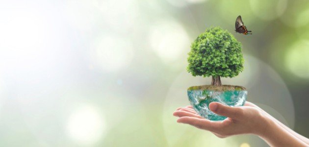 بحث حول المحافظة على البيئة بحث حول المحافظة على البيئة