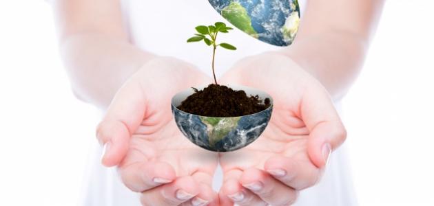 بحث حول حماية البيئة والمحيط بحث حول حماية البيئة والمحيط