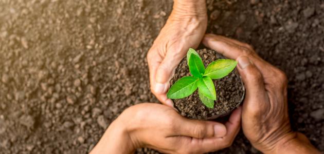 بحث حول حماية البيئة وحقوق الإنسان بحث حول حماية البيئة وحقوق الإنسان