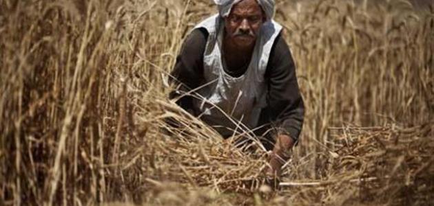 بحث عن أهمية الفلاح بحث عن أهمية الفلاح