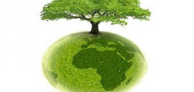 بحث عن البيئة والسكان بحث عن البيئة والسكان