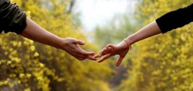 بحث عن الحب والعشق بحث عن الحب والعشق