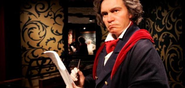 بحث عن بيتهوفن بحث عن بيتهوفن