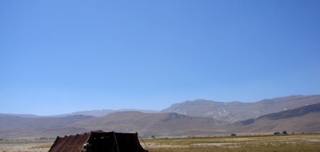 بحث عن سكان البيئة الزراعية