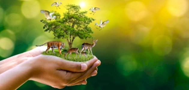 بحث عن عالم الحيوان بحث عن عالم الحيوان