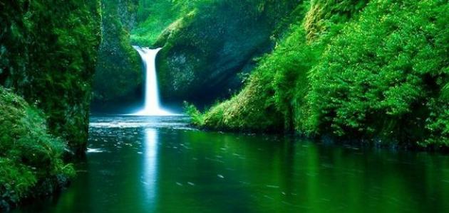 بحث عن نعيم الجنة بحث عن نعيم الجنة