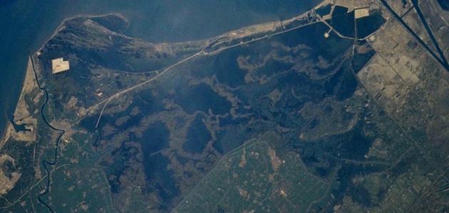 بحيرة المنزلة بحيرة المنزلة