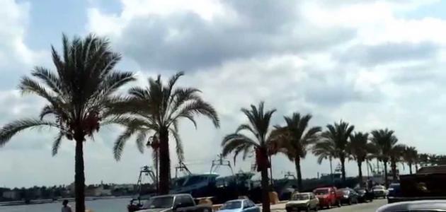 بلد المليون نخلة بلد المليون نخلة