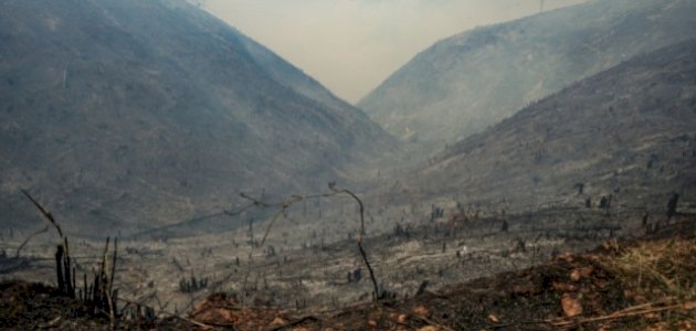 تأثير الحرائق على التربة