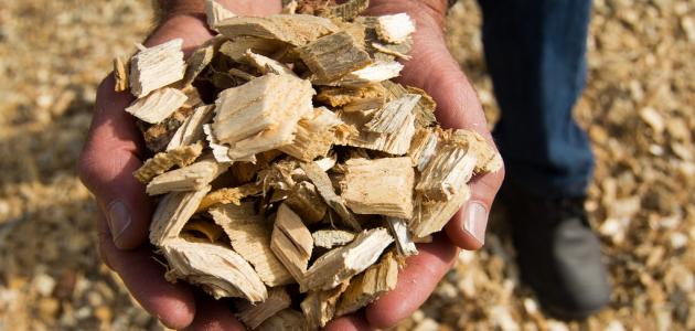 تحسين انتاج الكتلة الحيوية تحسين انتاج الكتلة الحيوية