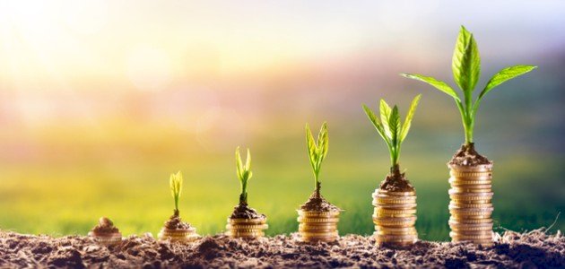 تعريف الاستثمار