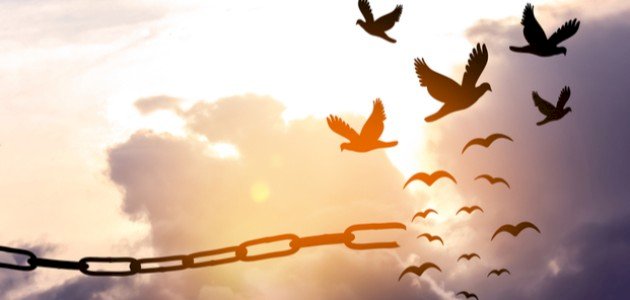 تعريف الحرية تعريف الحرية