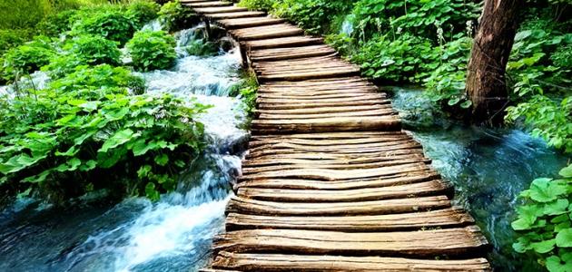 تعريف الطبيعة تعريف الطبيعة