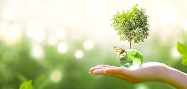 تعريف النظام البيئي