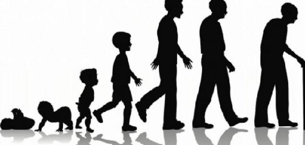 تعريف النمو تعريف النمو