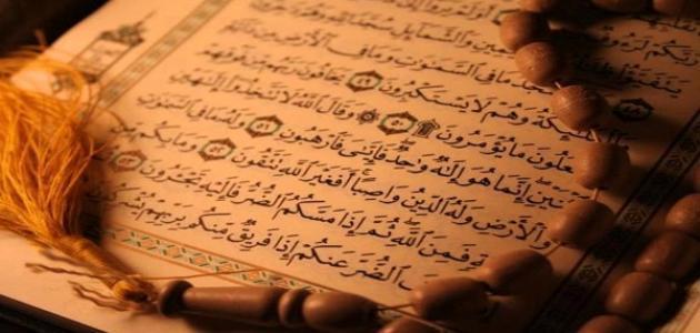 تعريف بسورة النحل تعريف بسورة النحل