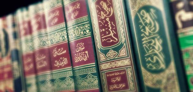 تعريف خبر الآحاد تعريف خبر الآحاد