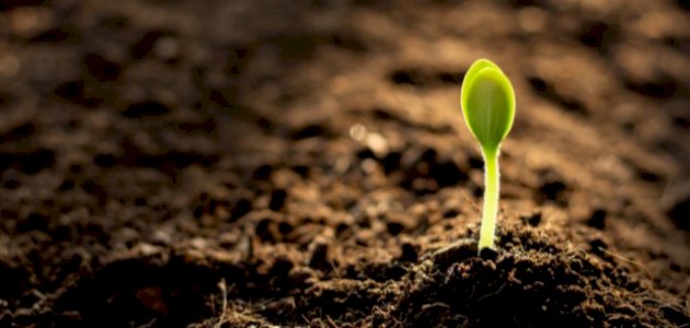 تعريف خصوبة التربة تعريف خصوبة التربة