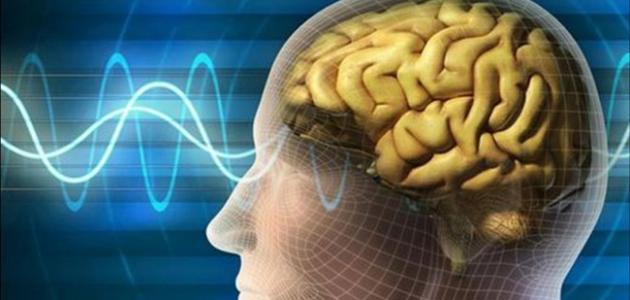 تعريف علم النفس الفسيولوجي تعريف علم النفس الفسيولوجي