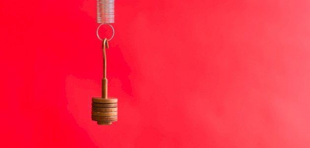 تعريف قانون هوك تعريف قانون هوك