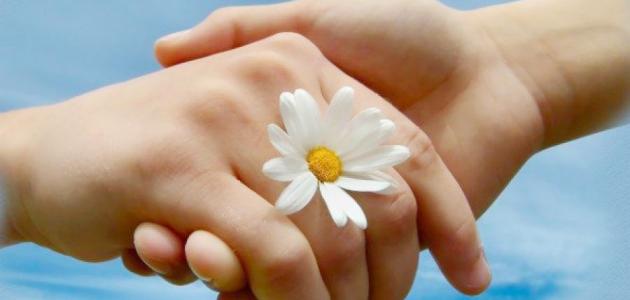 تعلم فن الرد تعلم فن الرد