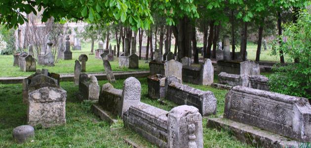 تفسير رؤية الميت حيًا في المنام تفسير رؤية الميت حيًا في المنام