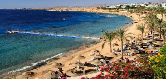 تقرير عن السياحة في شرم الشيخ تقرير عن السياحة في شرم الشيخ