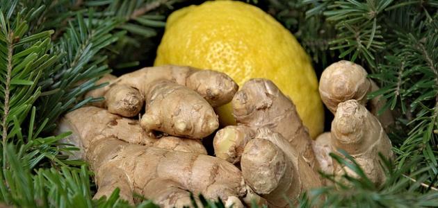 تقوية جهاز المناعة بالاعشاب