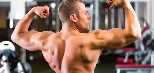 تقوية عضلات الظهر