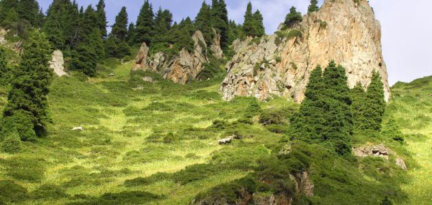 تكون السلاسل الجبلية تكون السلاسل الجبلية