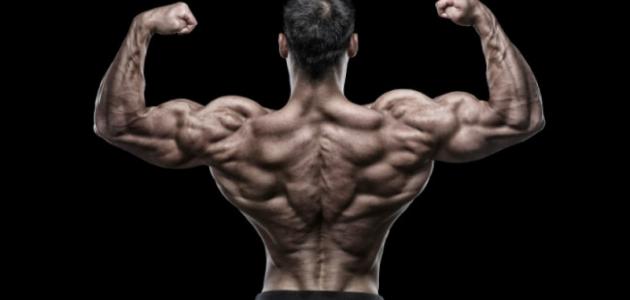 تمزق عضلات الظهر تمزق عضلات الظهر