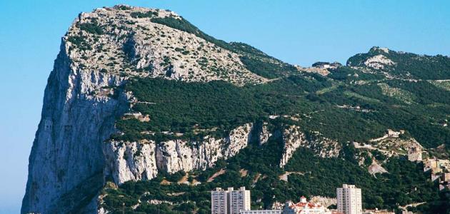 جبل طارق بن زياد