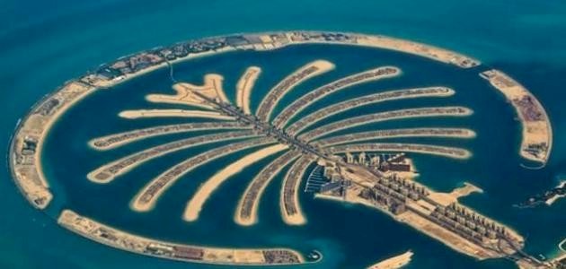 جزيرة النخلة جزيرة النخلة